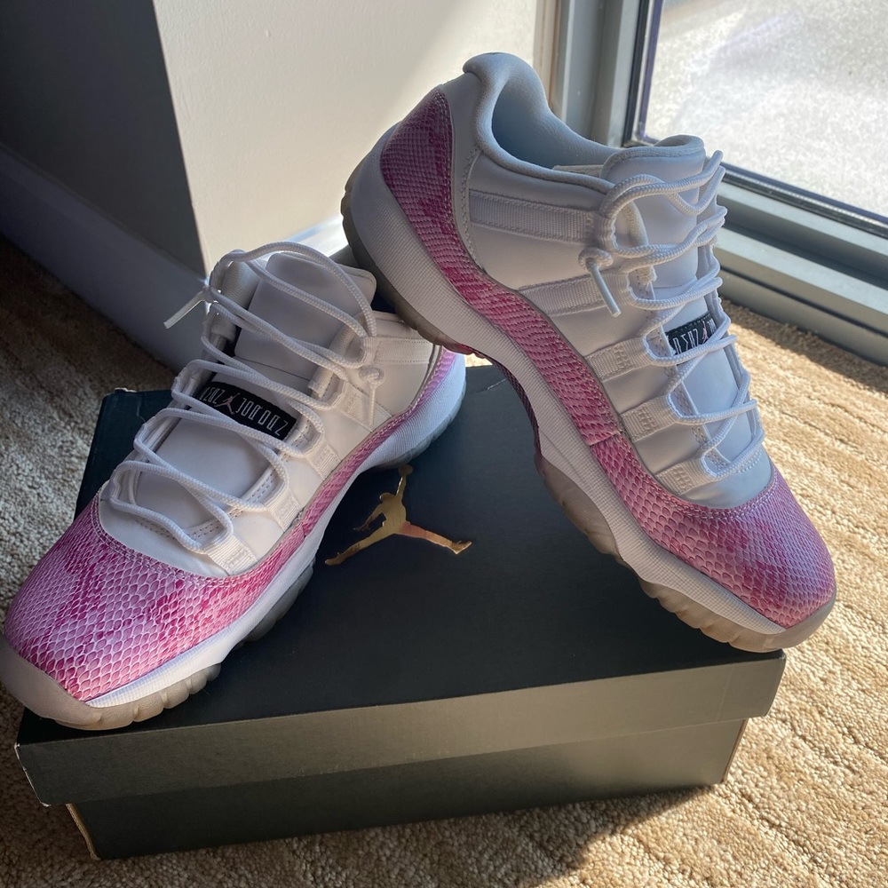 Retro Jordan 11 low  top 2013